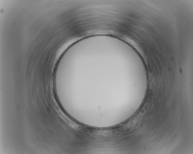 X0000073931187200609082255