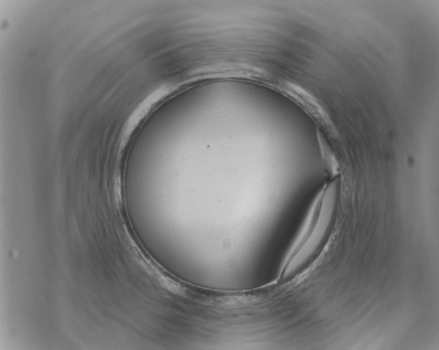 X0000073931188200609082255