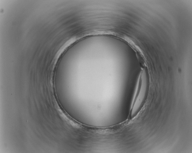 X0000073931189200609082255