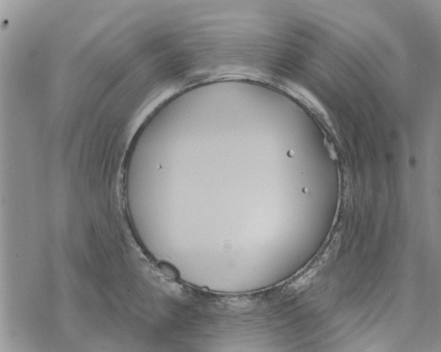 X0000073931190200609082255