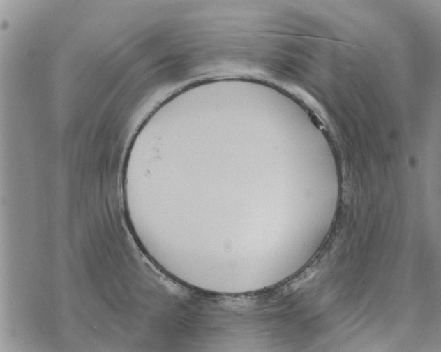 X0000073931191200609082255