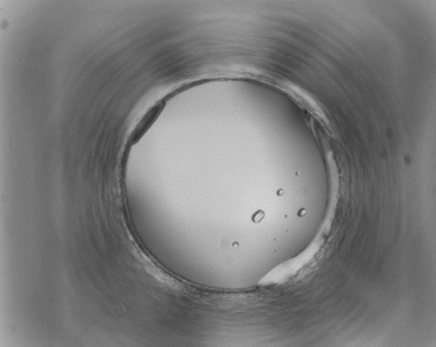 X0000073931192200609082255