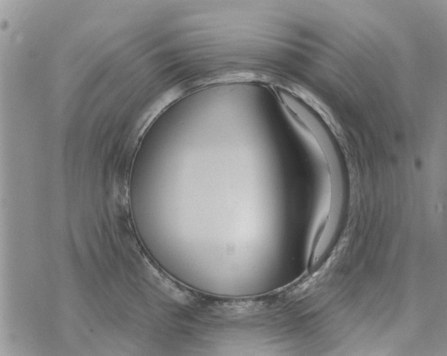 X0000073931193200609082255