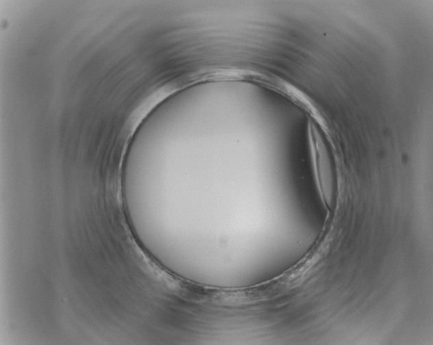 X0000073931194200609082255