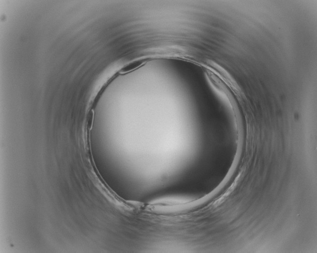 X0000073931196200609082255