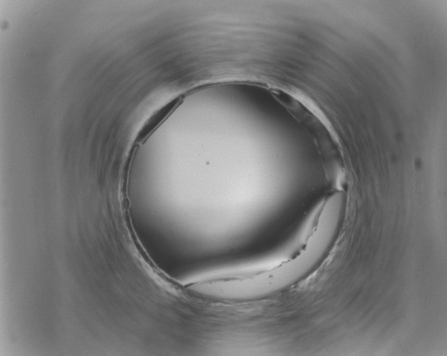 X0000073931197200609082255