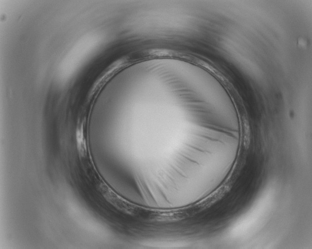 X0000073931198200609082255