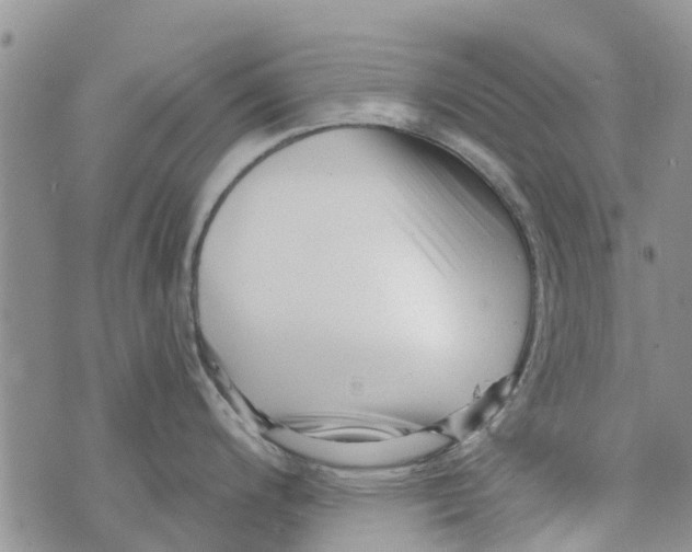 X0000073931200200609082255