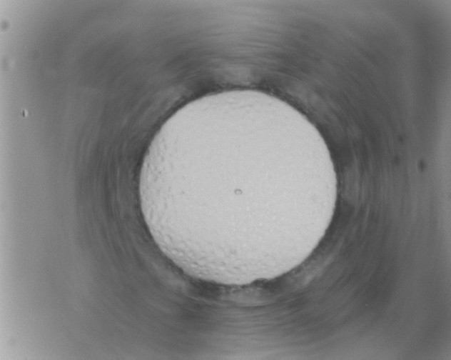 X0000073931201200609082254