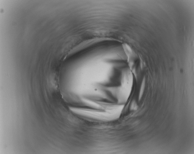 X0000073931202200609082254