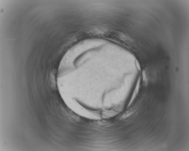 X0000073931203200609082254