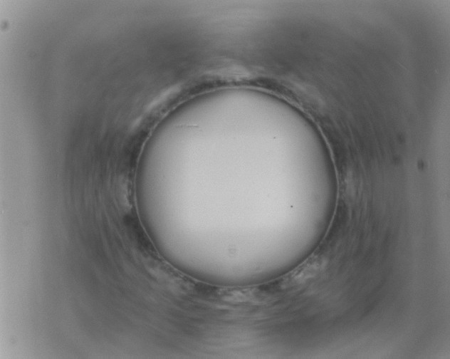 X0000073931205200609082254