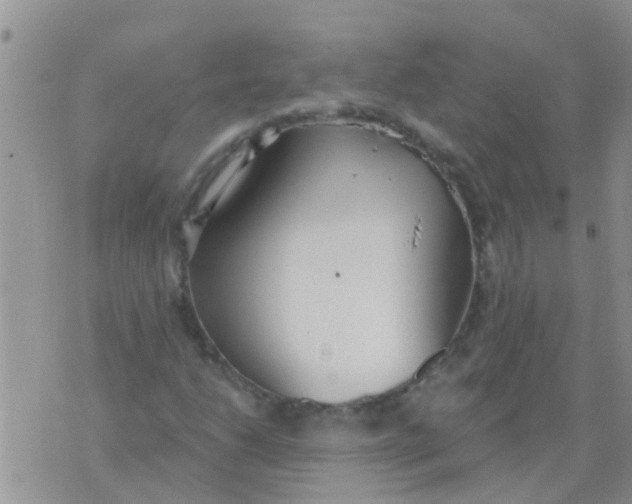 X0000073931206200609082254