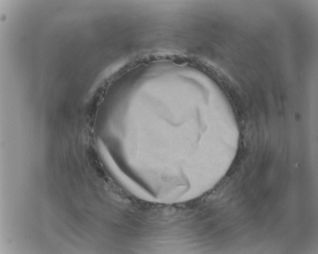 X0000073931207200609082254