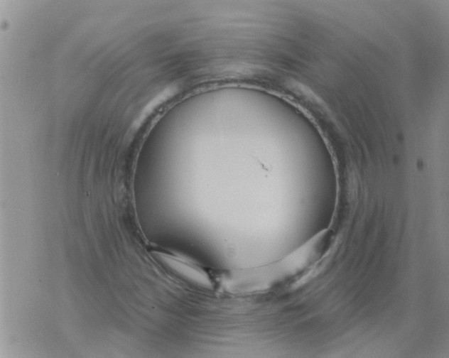 X0000073931210200609082254