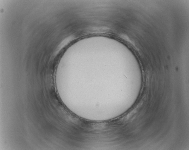 X0000073931211200609082254