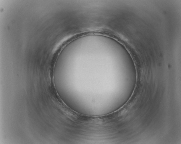 X0000073931214200609082254