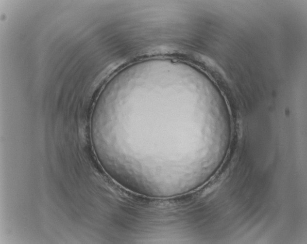 X0000073931217200609082254