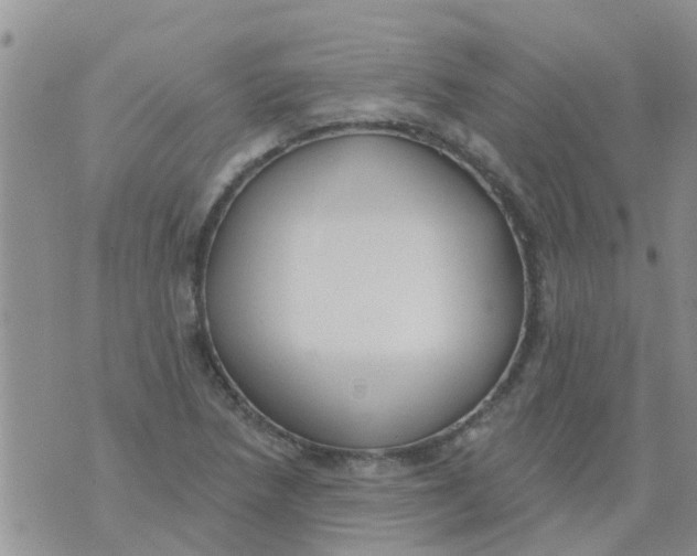 X0000073931218200609082254