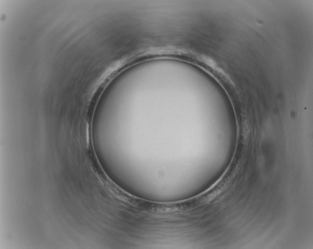 X0000073931221200609082254