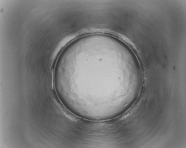 X0000073931223200609082254