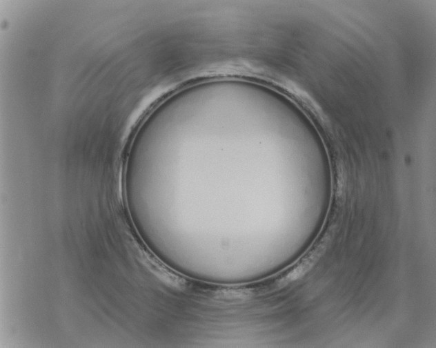 X0000073931224200609082254