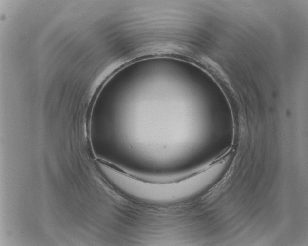 X0000073931226200609082254