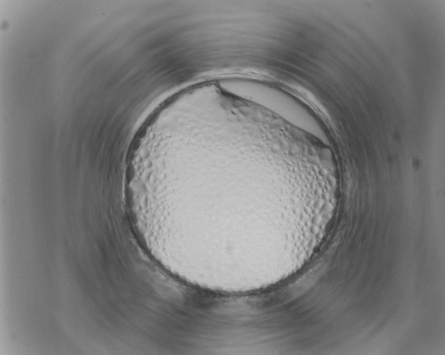 X0000073931228200609082255