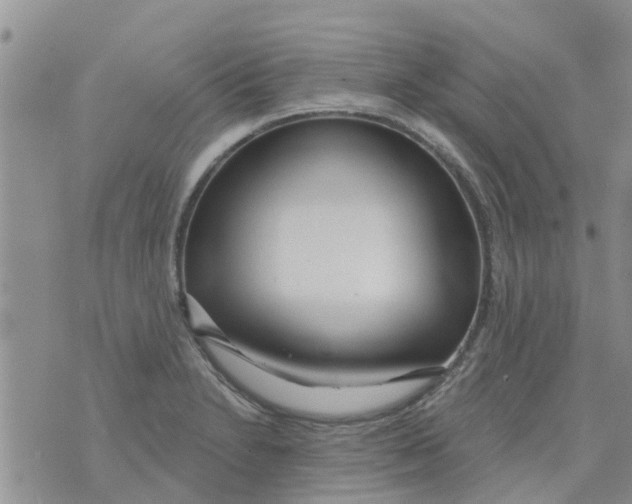 X0000073931230200609082255