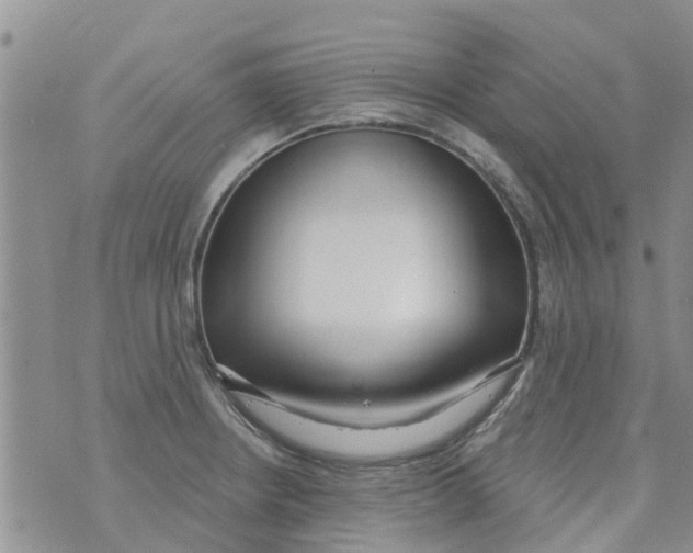 X0000073931234200609082255