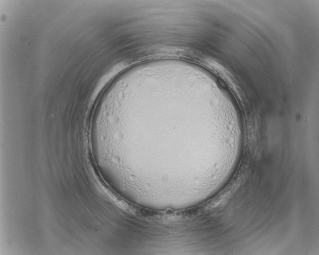 X0000073931235200609082255