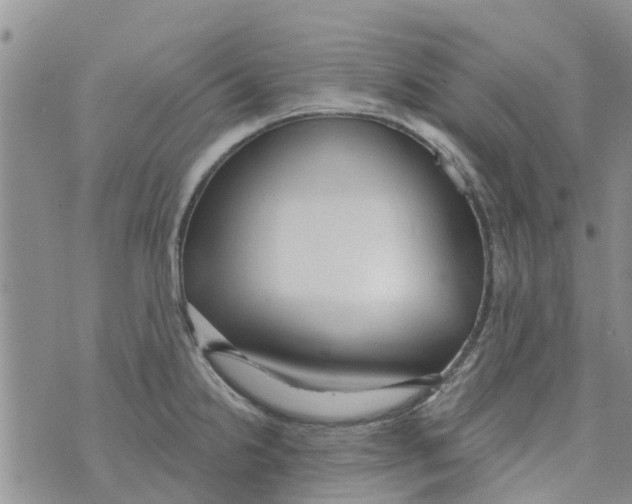 X0000073931238200609082255