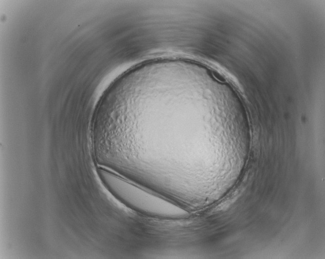 X0000073931239200609082255