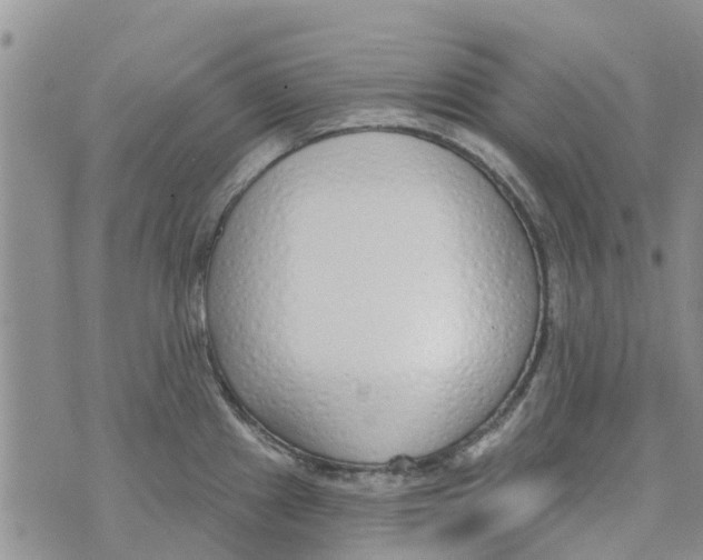 X0000073931241200609082255