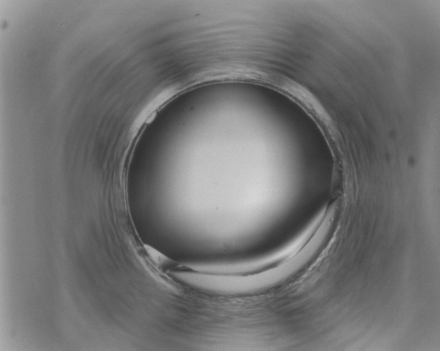 X0000073931242200609082255