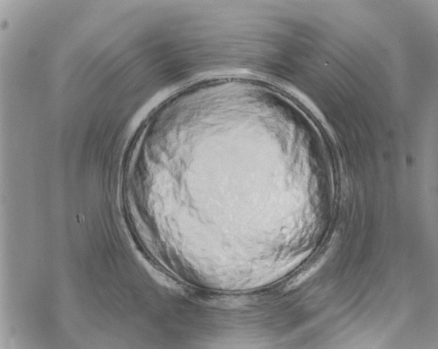 X0000073931245200609082255