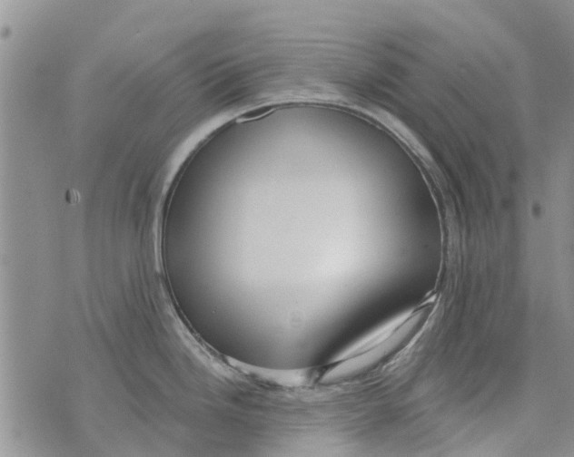 X0000073931246200609082255