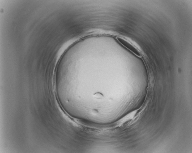 X0000073931247200609082255