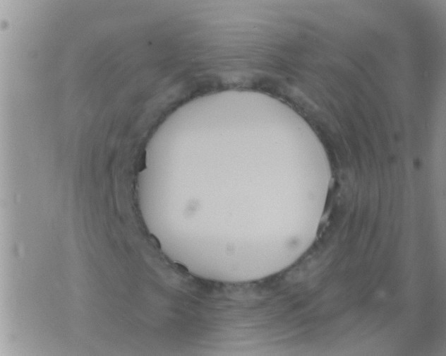 X0000073931249200609082254