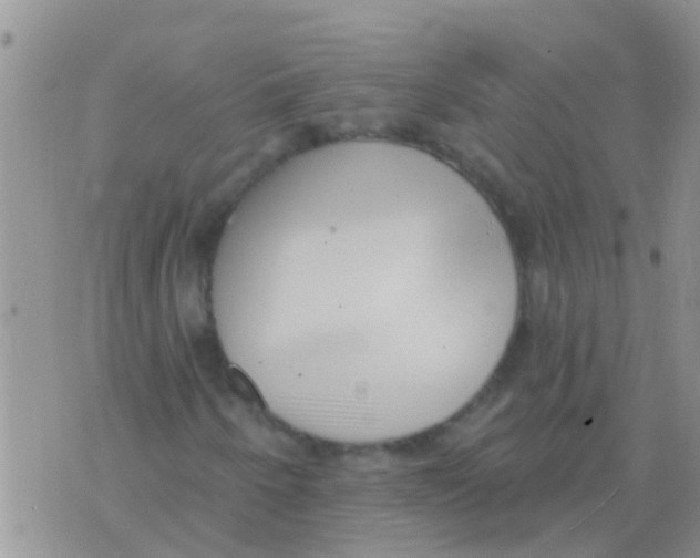 X0000073931250200609082254