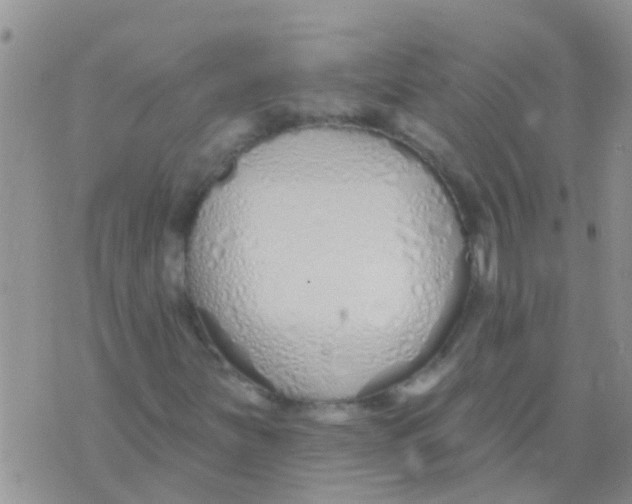 X0000073931251200609082254