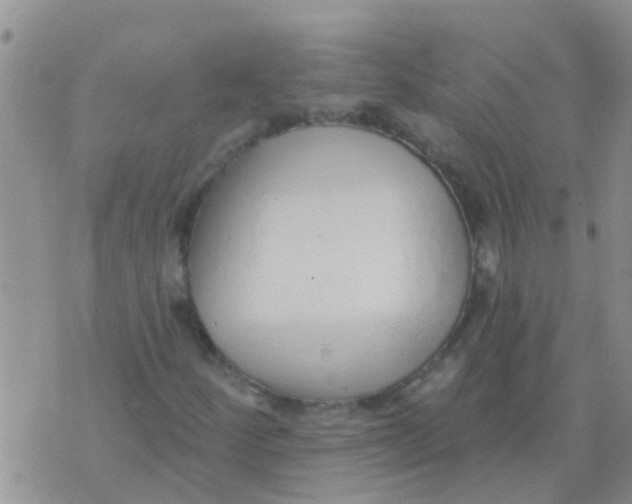 X0000073931252200609082254