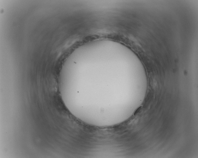 X0000073931253200609082254