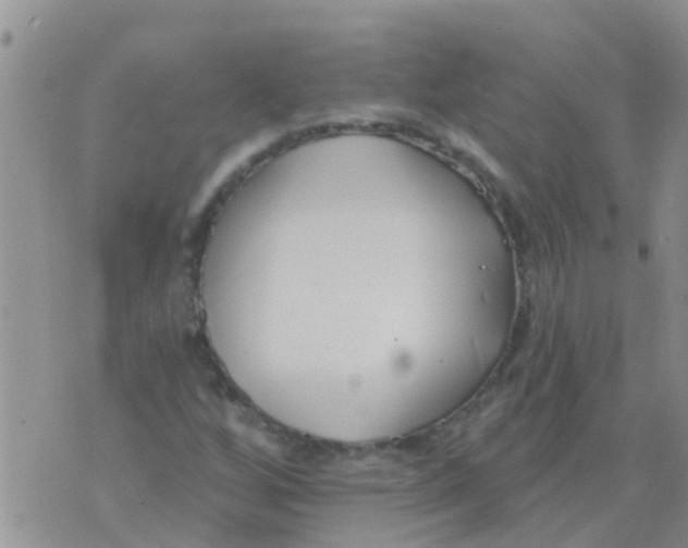 X0000073931256200609082254