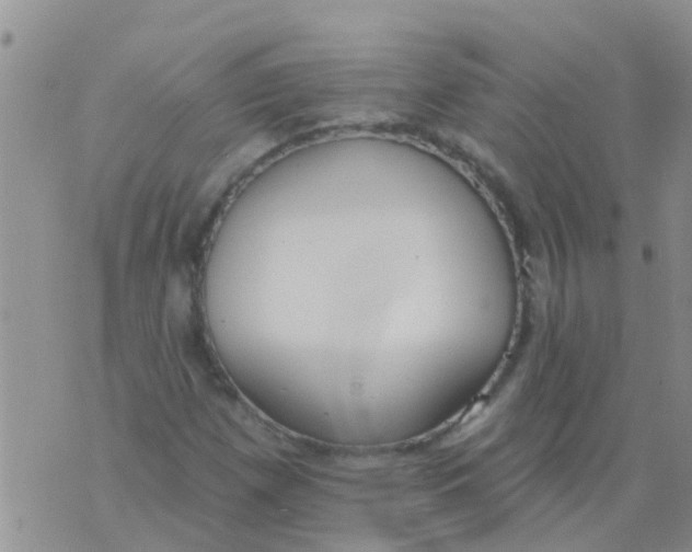 X0000073931257200609082254