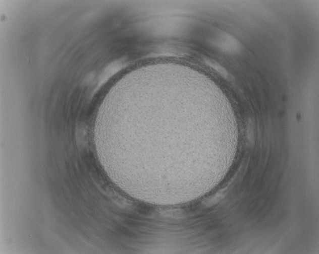 X0000073931258200609082254