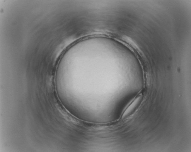 X0000073931260200609082254