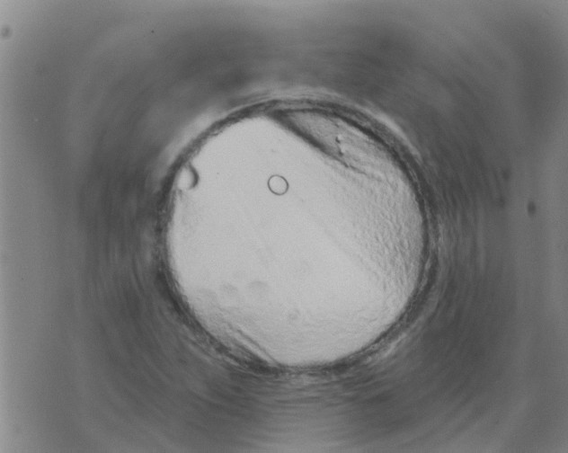 X0000073931263200609082254