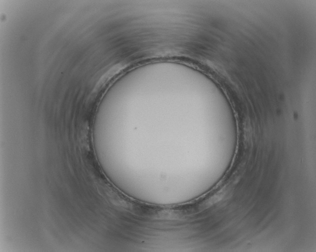 X0000073931265200609082254