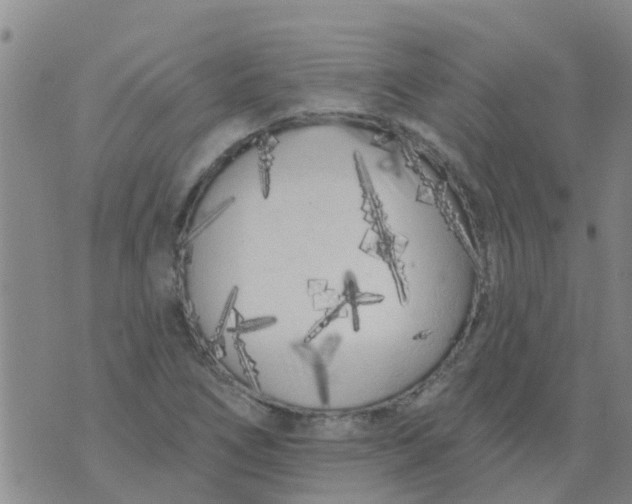 X0000073931266200609082254